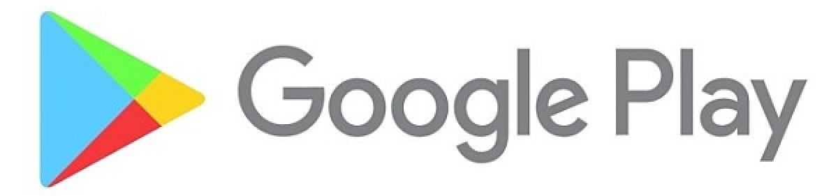 Google Play Store Logo